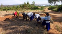 KInder in Kamishango bei der Gartenarbeit
