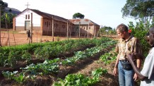 Erster Gemüsegarten in Kamishango